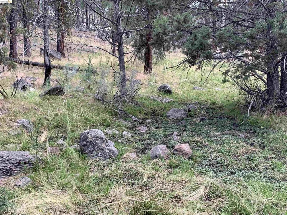 Butte Creek Rd Susanville, CA 96127