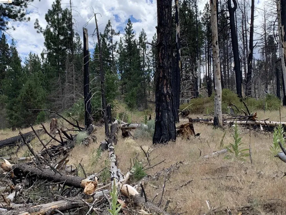 Butte Creek Rd Susanville, CA 96127