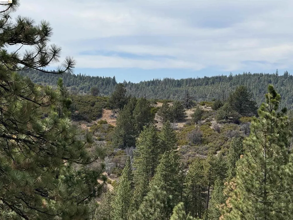 North Twin Bieber, CA 96009