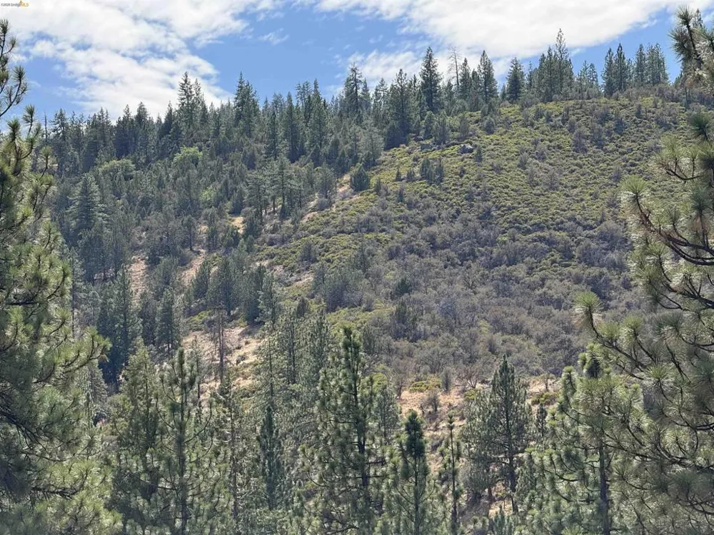 North Twin Bieber, CA 96009