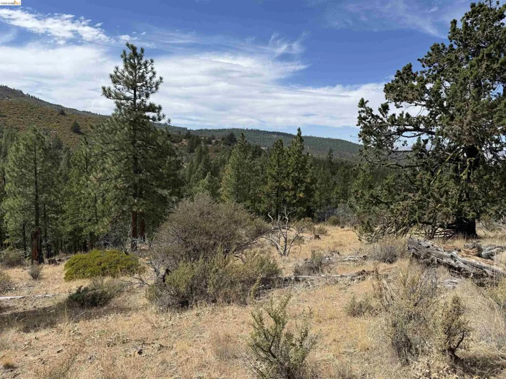 North Twin Bieber, CA 96009