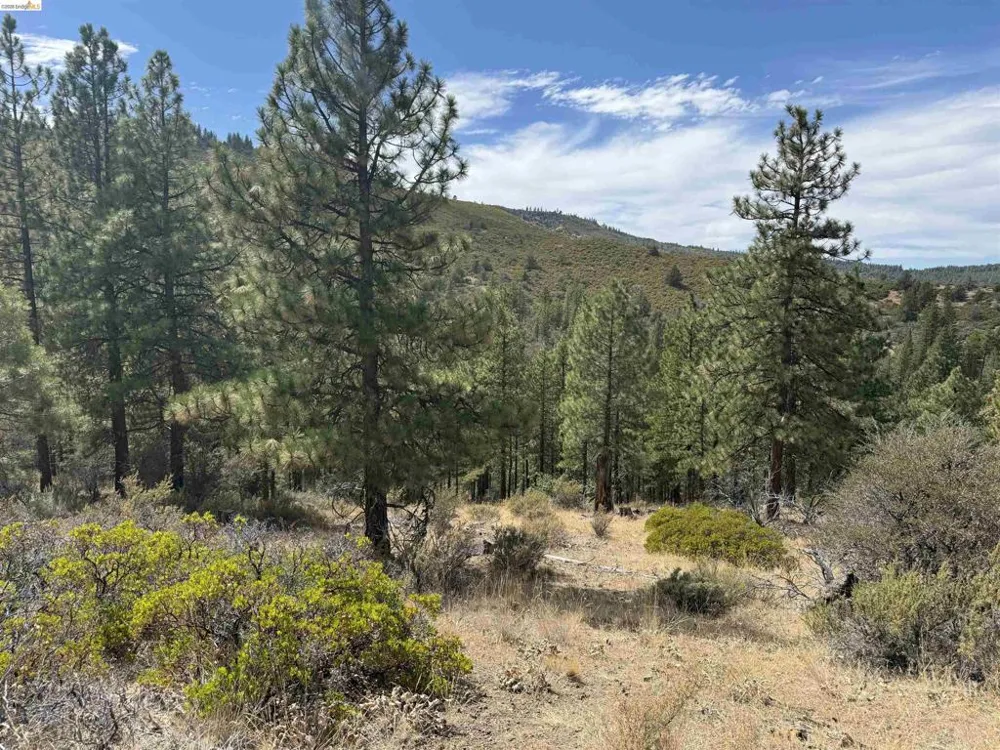 North Twin Bieber, CA 96009