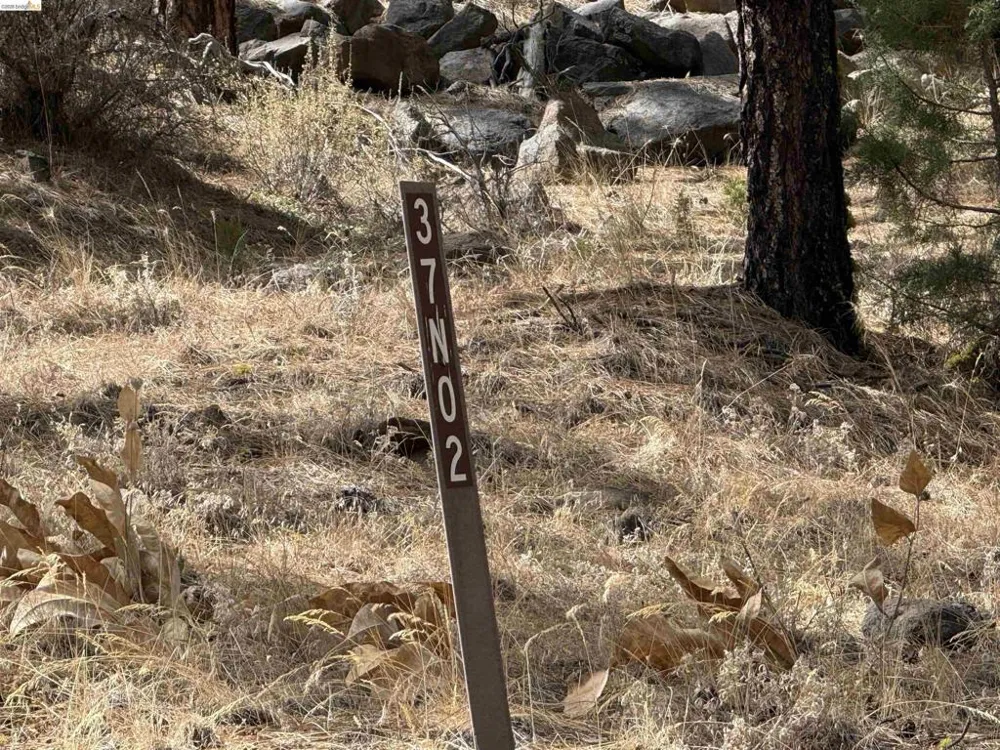 North Twin Bieber, CA 96009