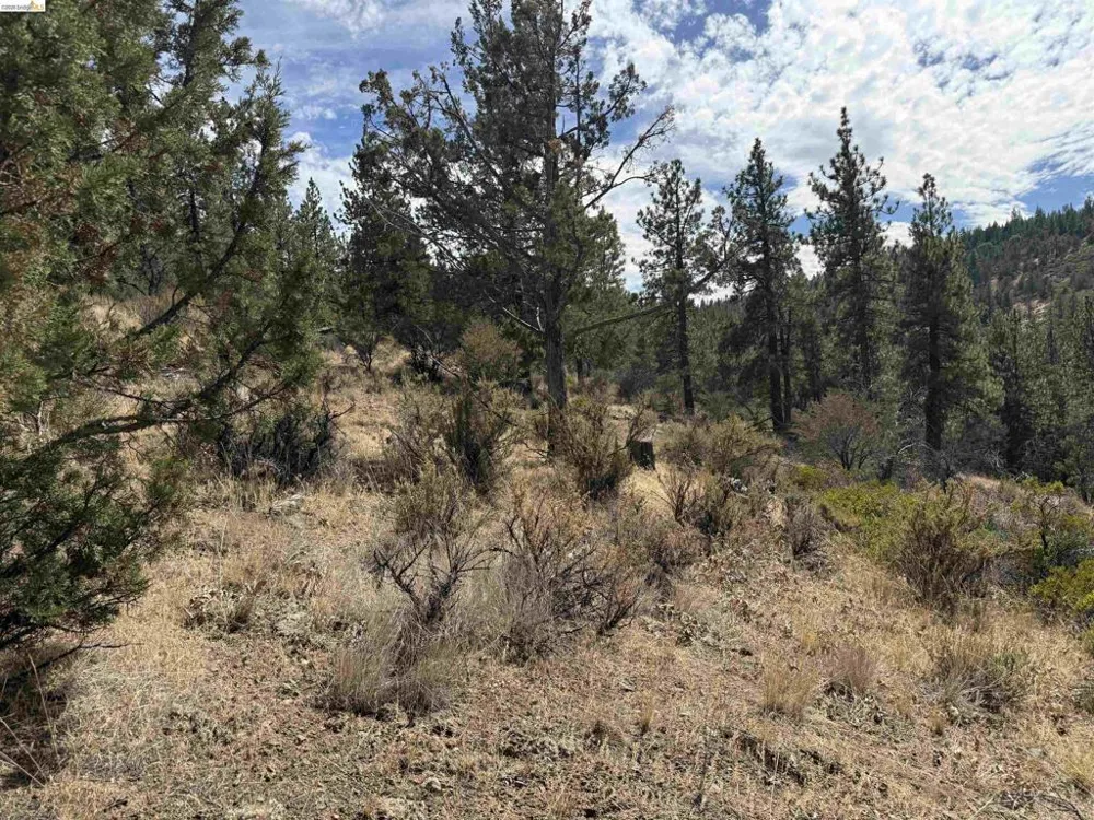 North Twin Bieber, CA 96009