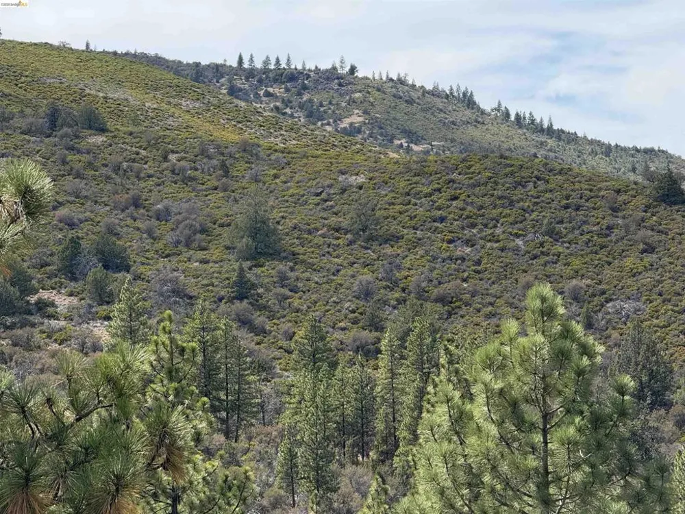 North Twin Bieber, CA 96009