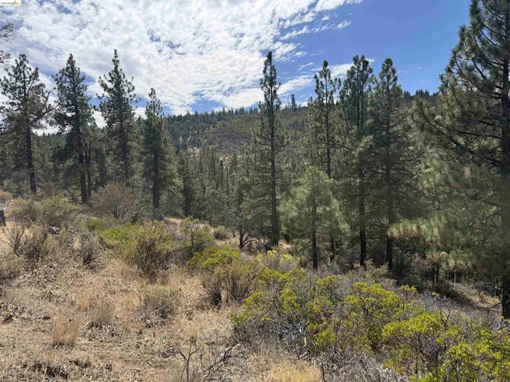 North Twin Bieber, CA 96009