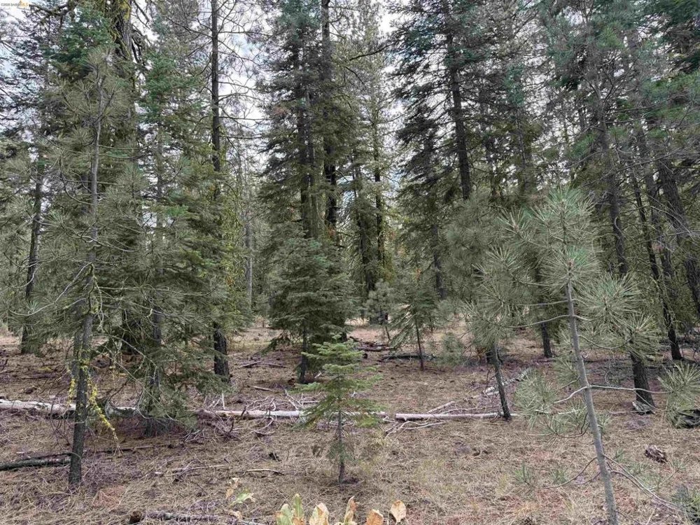 West Wing Susanville, CA 96127