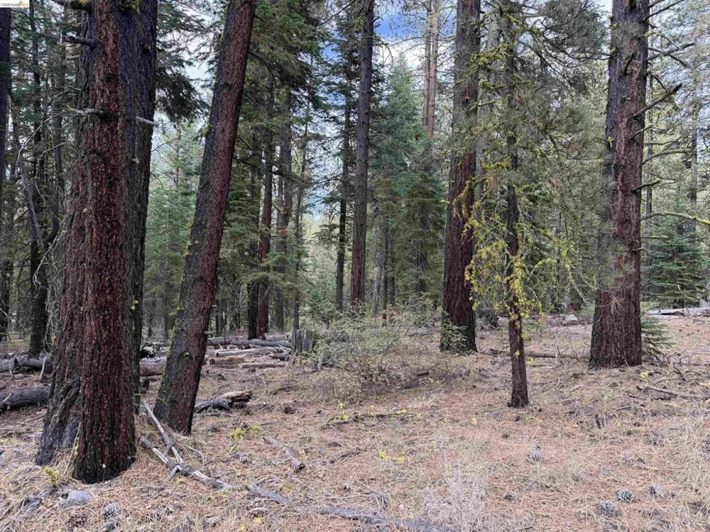 West Wing Susanville, CA 96127