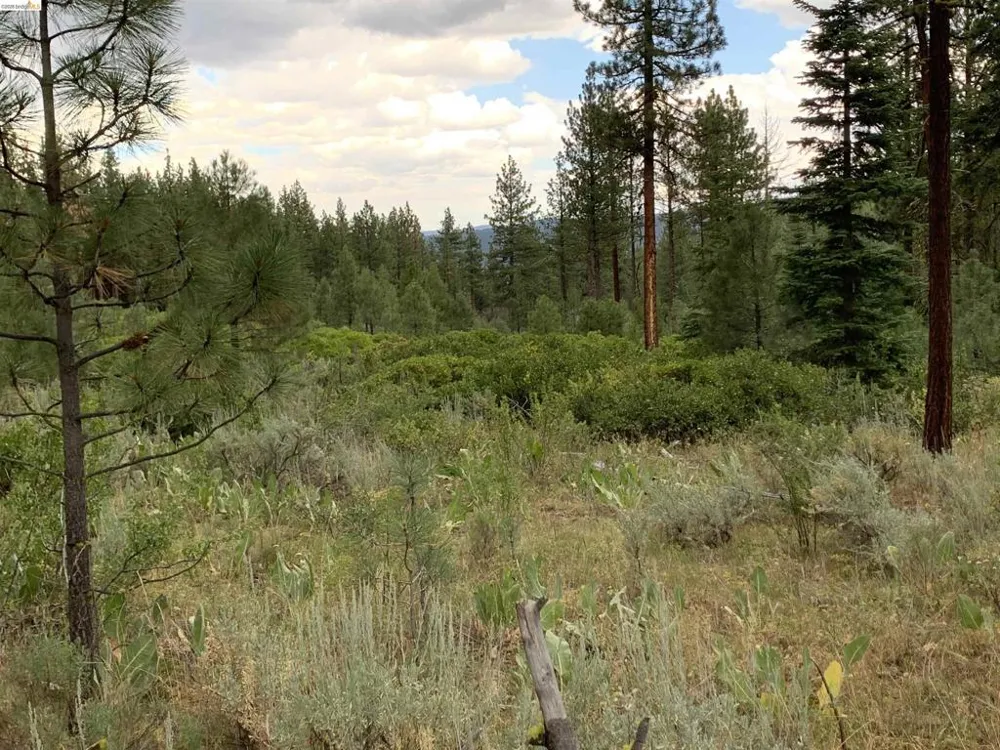West Wing Susanville, CA 96127