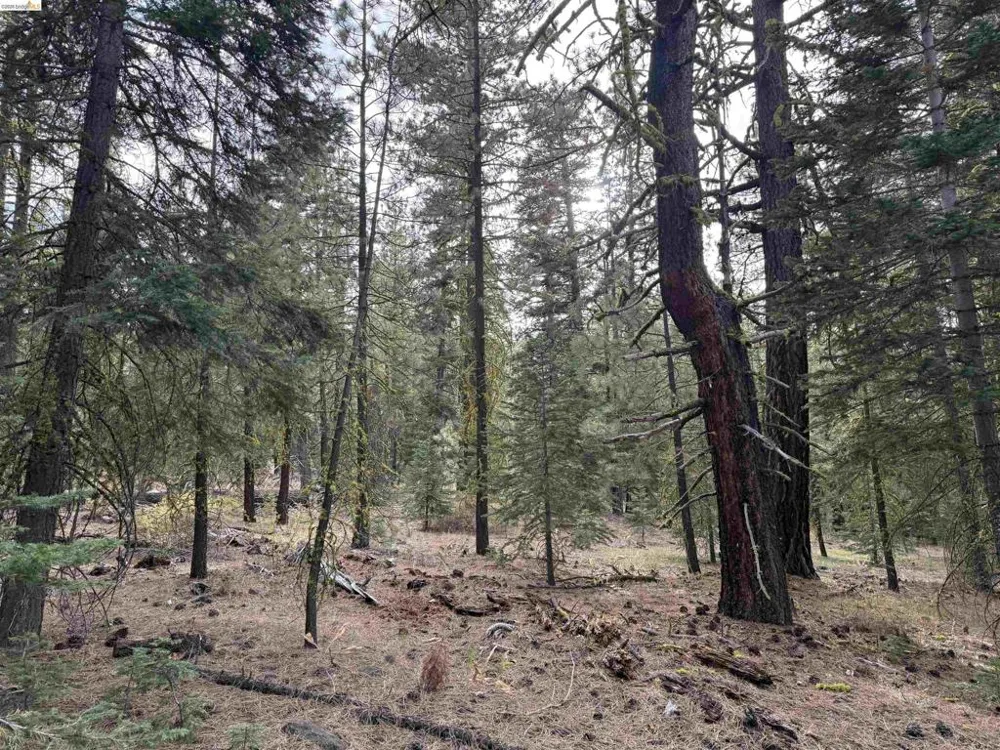 West Wing Susanville, CA 96127