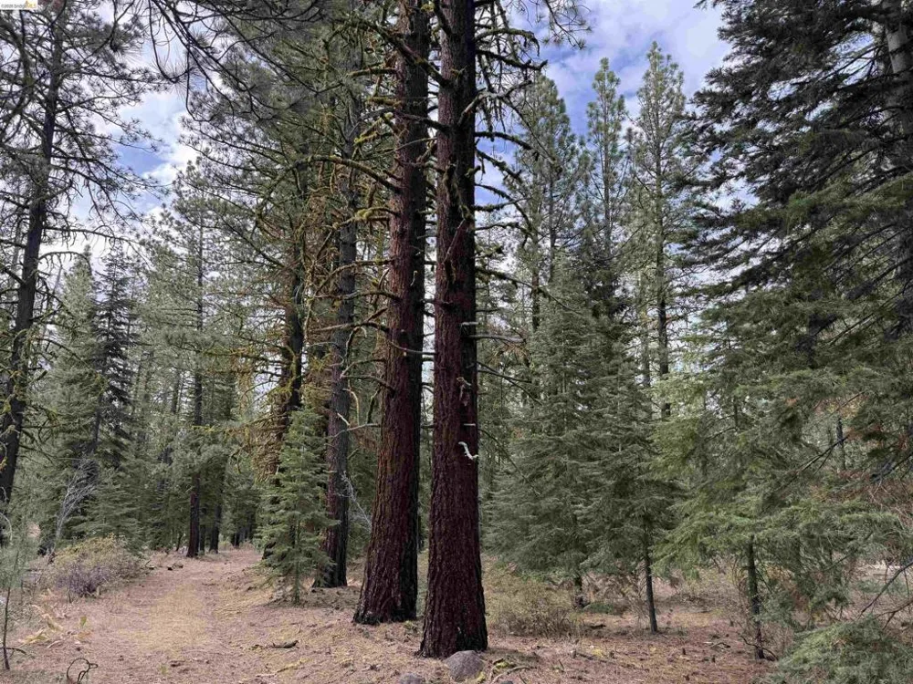 West Wing Susanville, CA 96127