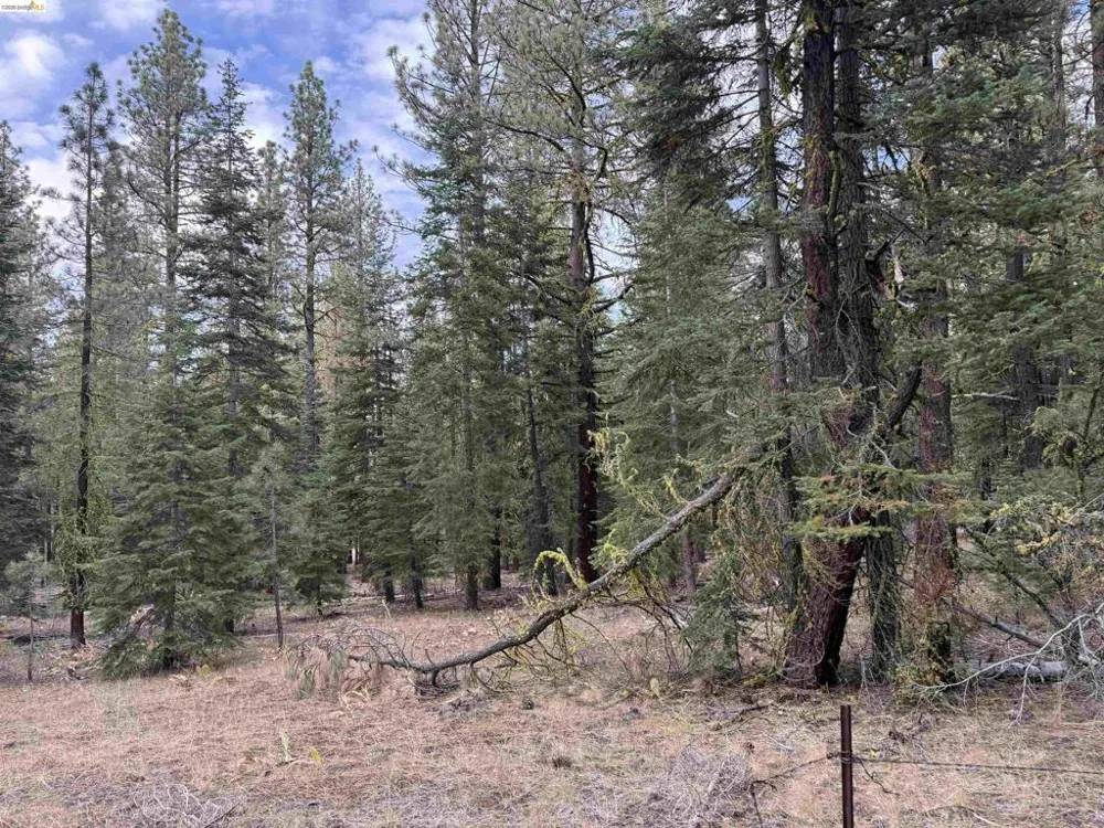 West Wing Susanville, CA 96127