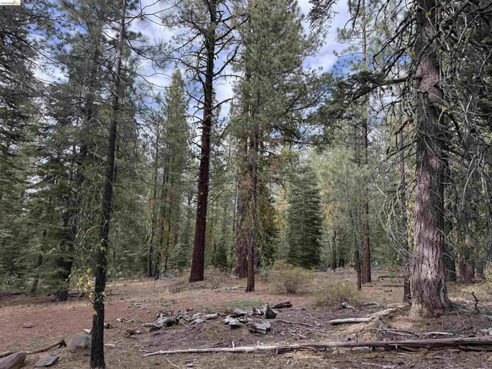 West Wing Susanville, CA 96127