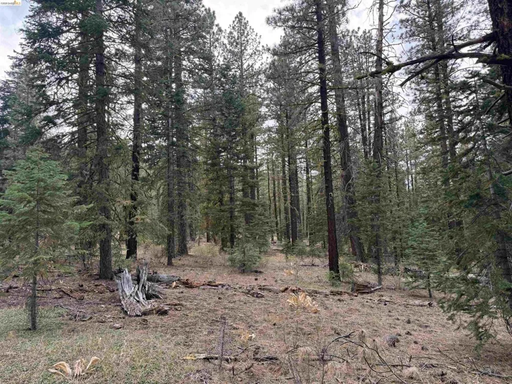West Wing Susanville, CA 96127