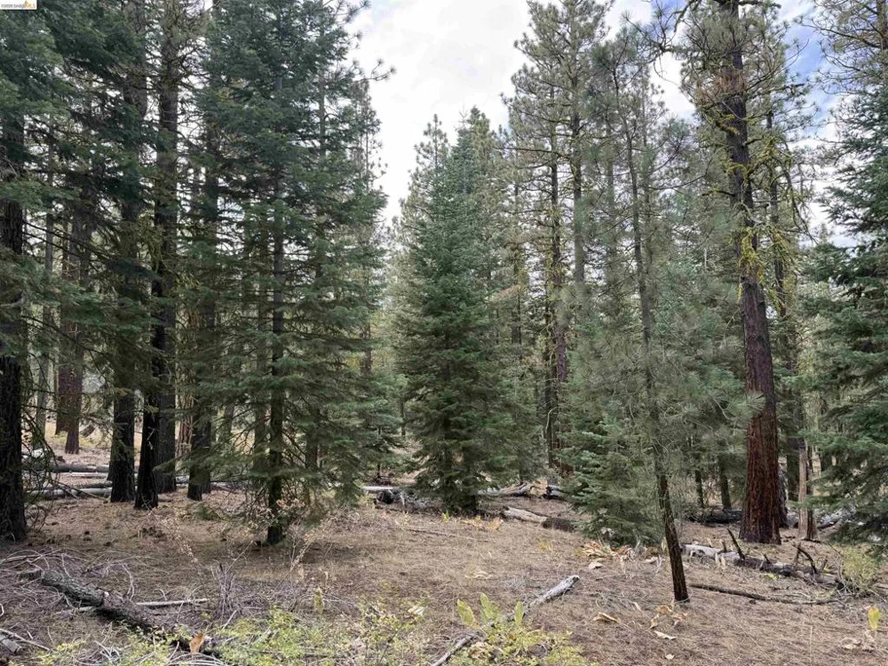 West Wing Susanville, CA 96127