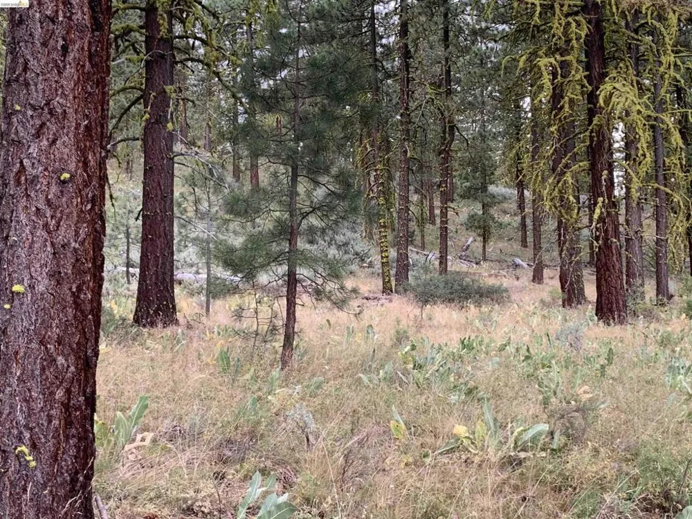 West Wing Susanville, CA 96127