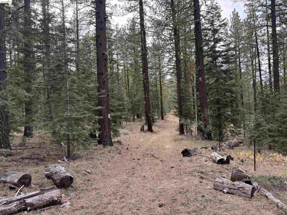 West Wing Susanville, CA 96127