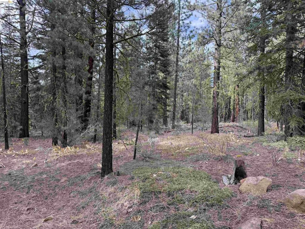 West Wing Susanville, CA 96127