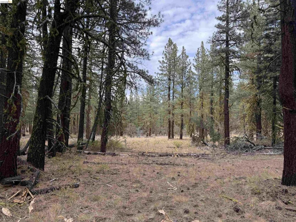 West Wing Susanville, CA 96127