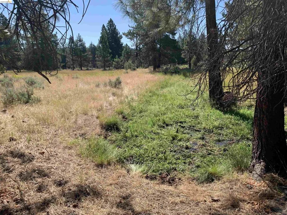 Address Not Shown Susanville, CA 96127