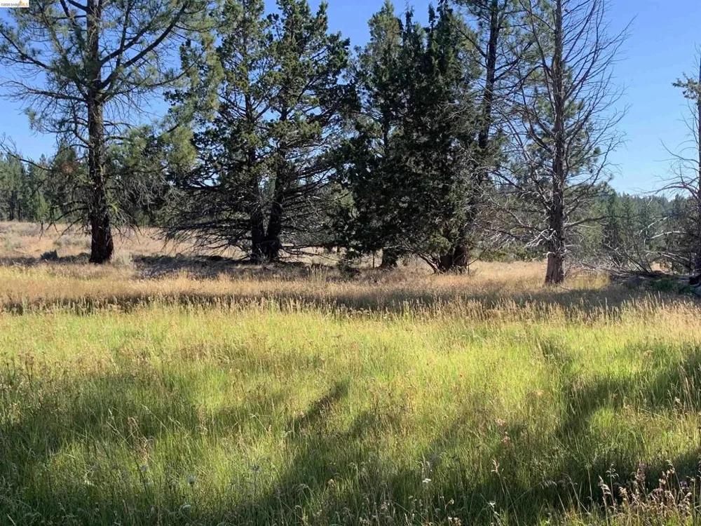 Address Not Shown Susanville, CA 96127