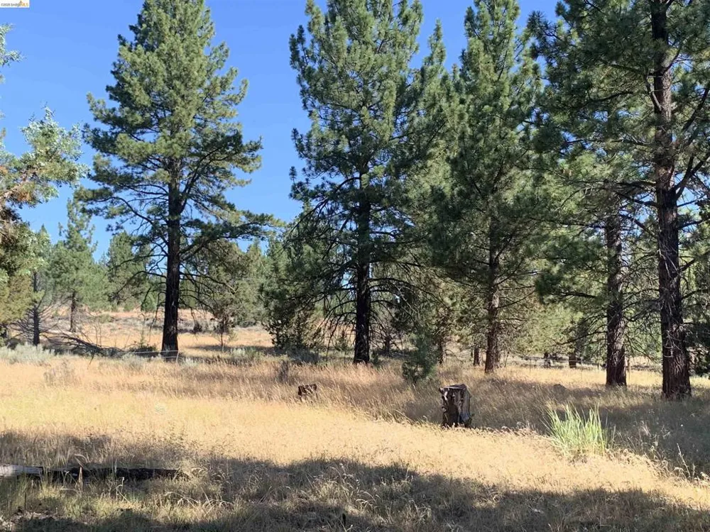 Address Not Shown Susanville, CA 96127