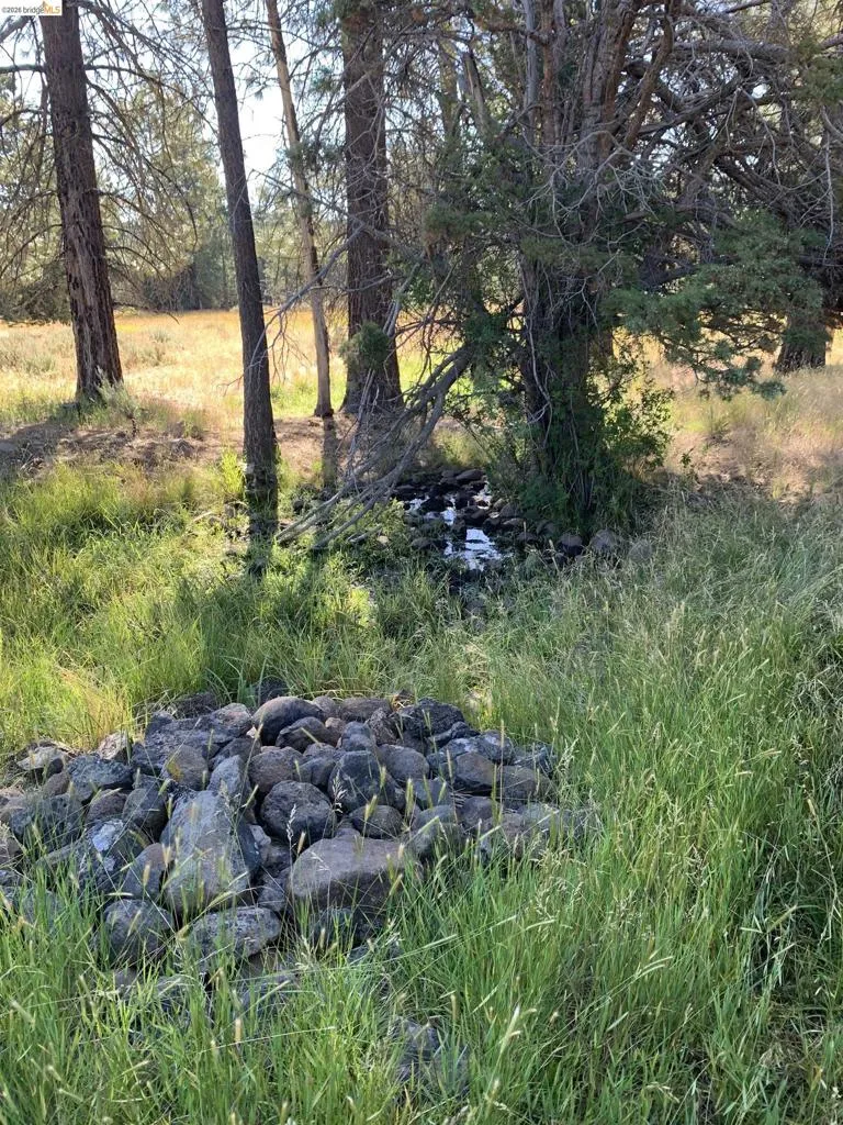 Address Not Shown Susanville, CA 96127