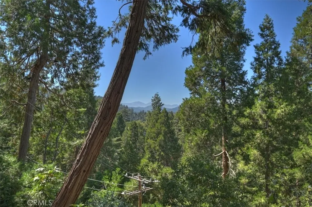 920 Arbula Crestline, CA 92325