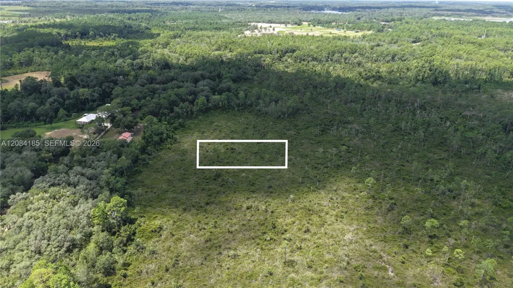 Crocus Ln Other City - In The State Of Florida, FL 32640