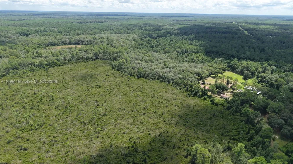 Crocus Ln Other City - In The State Of Florida, FL 32640