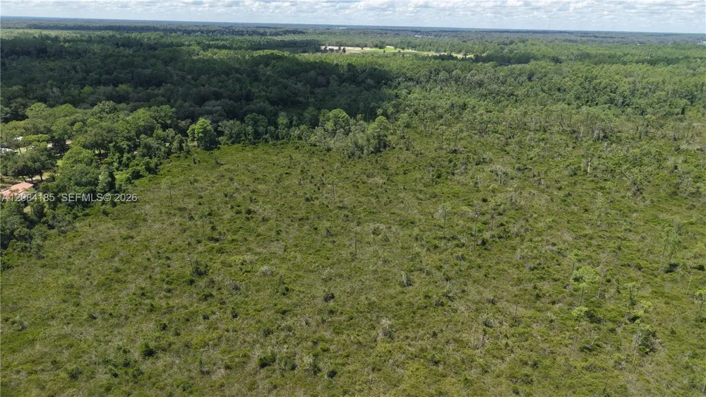 Crocus Ln Other City - In The State Of Florida, FL 32640