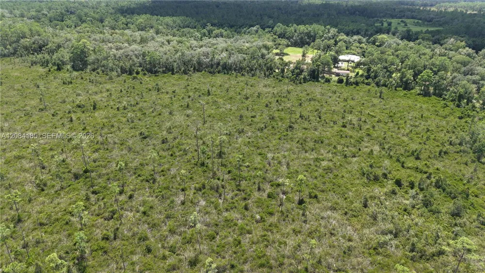 Crocus Ln Other City - In The State Of Florida, FL 32640