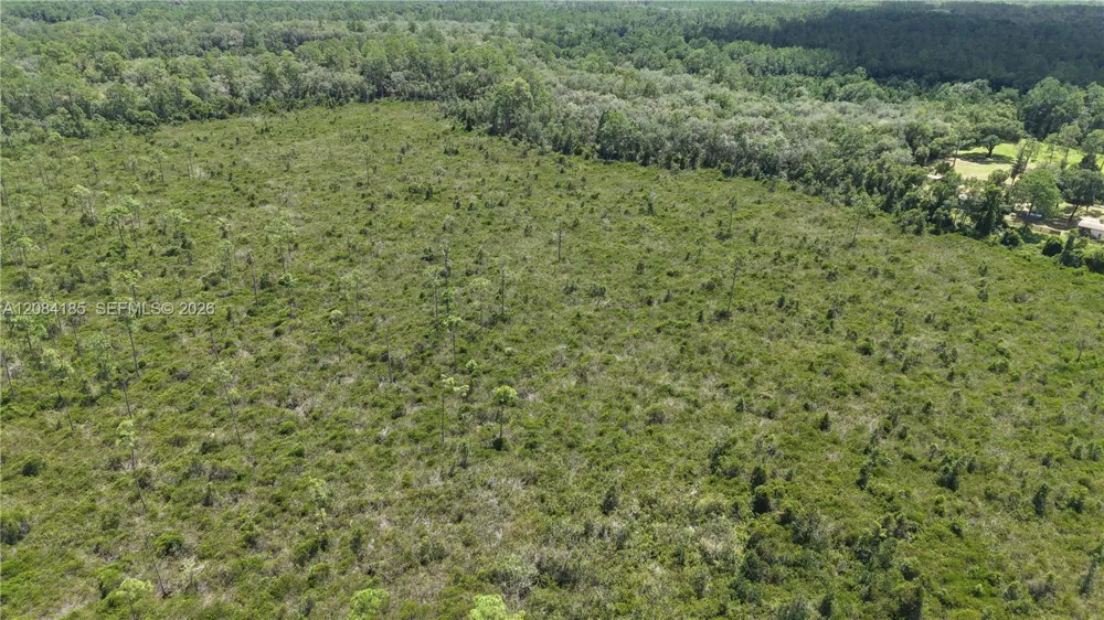 Crocus Ln Other City - In The State Of Florida, FL 32640