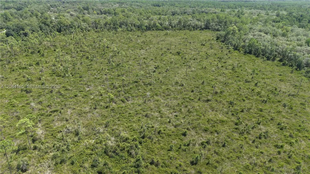 Crocus Ln Other City - In The State Of Florida, FL 32640
