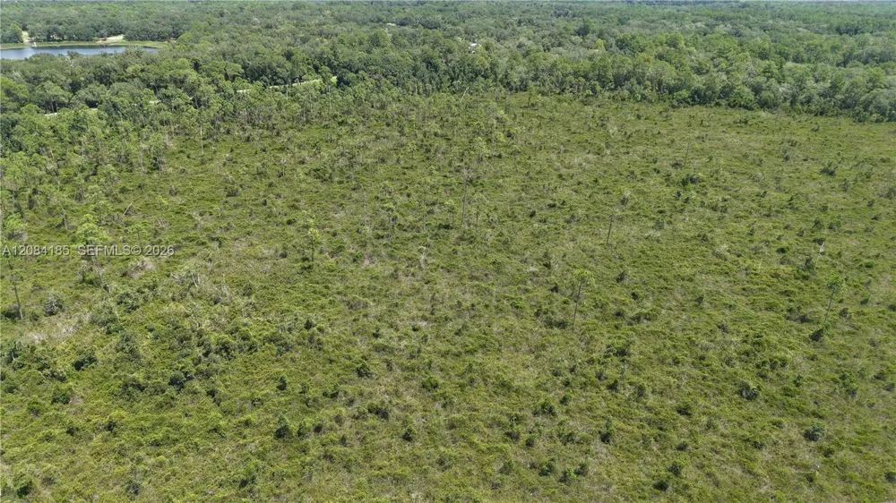 Crocus Ln Other City - In The State Of Florida, FL 32640