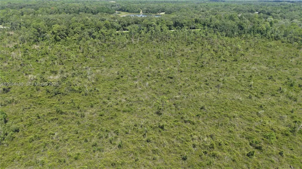 Crocus Ln Other City - In The State Of Florida, FL 32640
