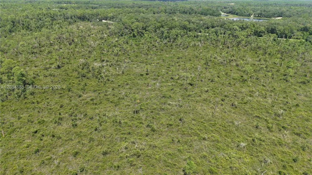 Crocus Ln Other City - In The State Of Florida, FL 32640