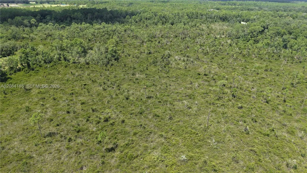 Crocus Ln Other City - In The State Of Florida, FL 32640