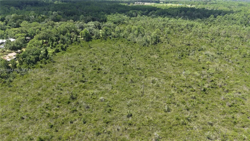 Crocus Ln Other City - In The State Of Florida, FL 32640