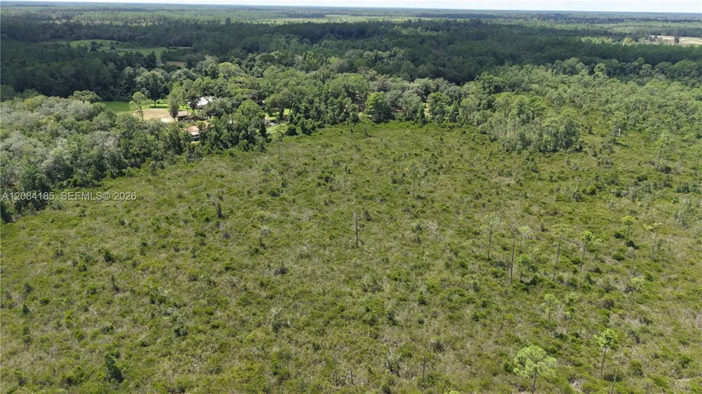 Crocus Ln Other City - In The State Of Florida, FL 32640