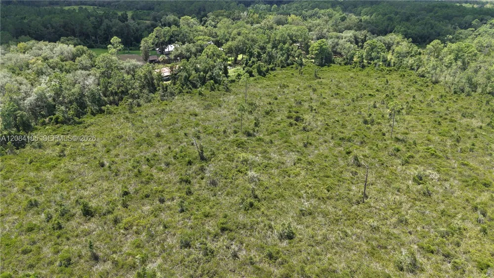 Crocus Ln Other City - In The State Of Florida, FL 32640