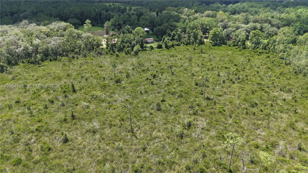 Crocus Ln Other City - In The State Of Florida, FL 32640