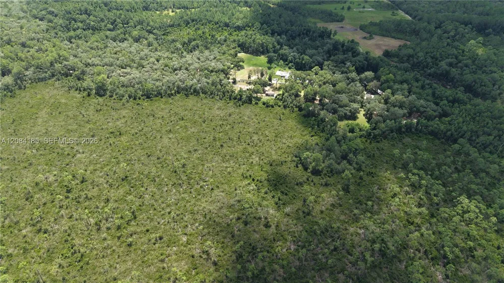 Crocus Ln Other City - In The State Of Florida, FL 32640