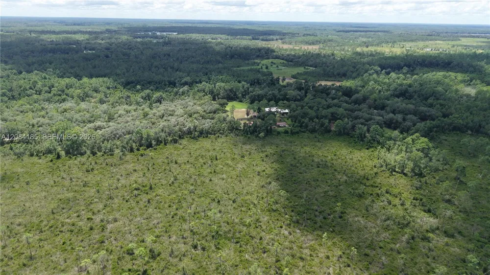 Crocus Ln Other City - In The State Of Florida, FL 32640