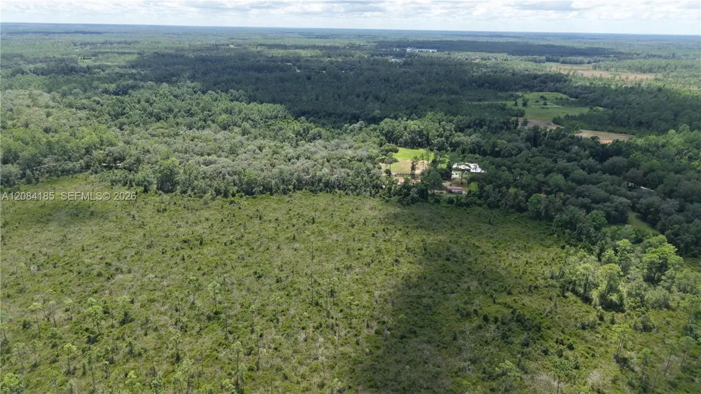 Crocus Ln Other City - In The State Of Florida, FL 32640