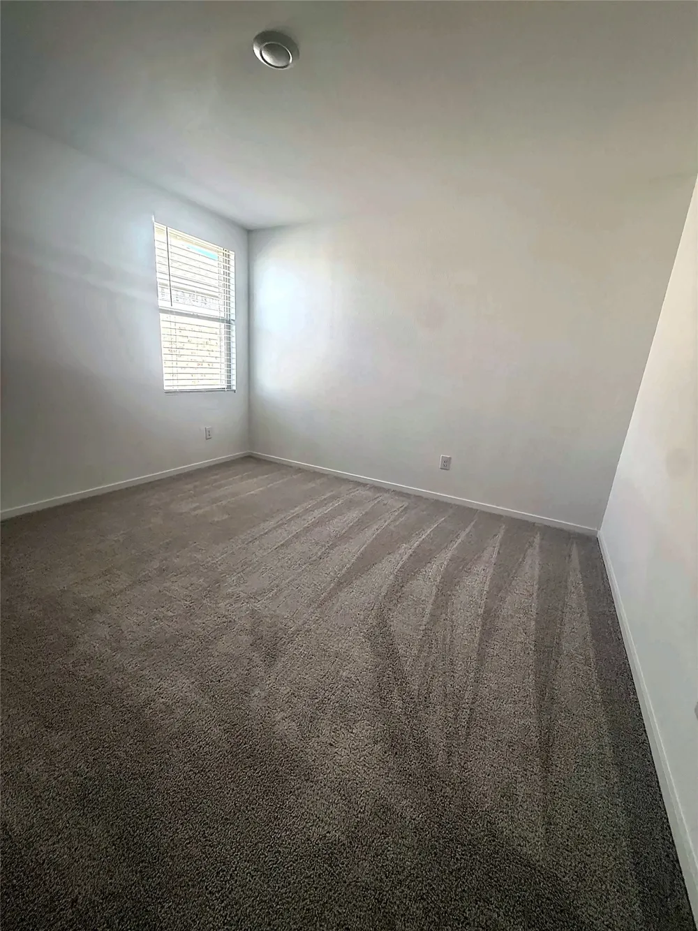 436 Back Country Drive Little Elm, TX 75068