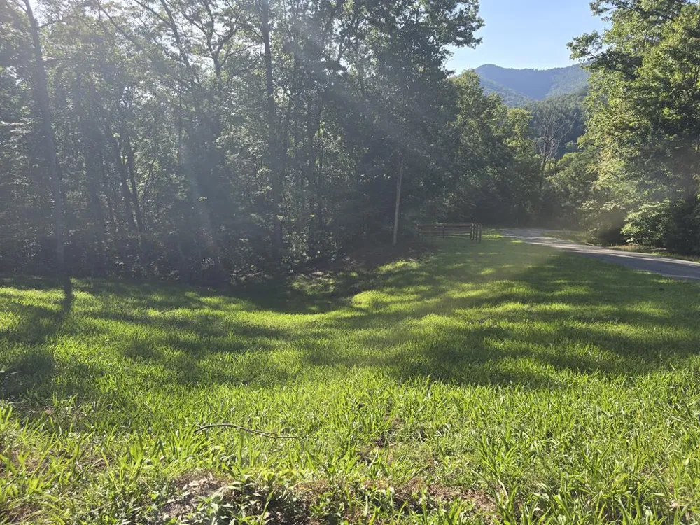 Lot 8 Wolfpen Gap Road Hiawassee, GA 30546