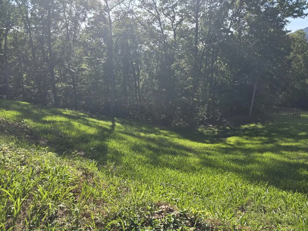 Lot 8 Wolfpen Gap Road Hiawassee, GA 30546