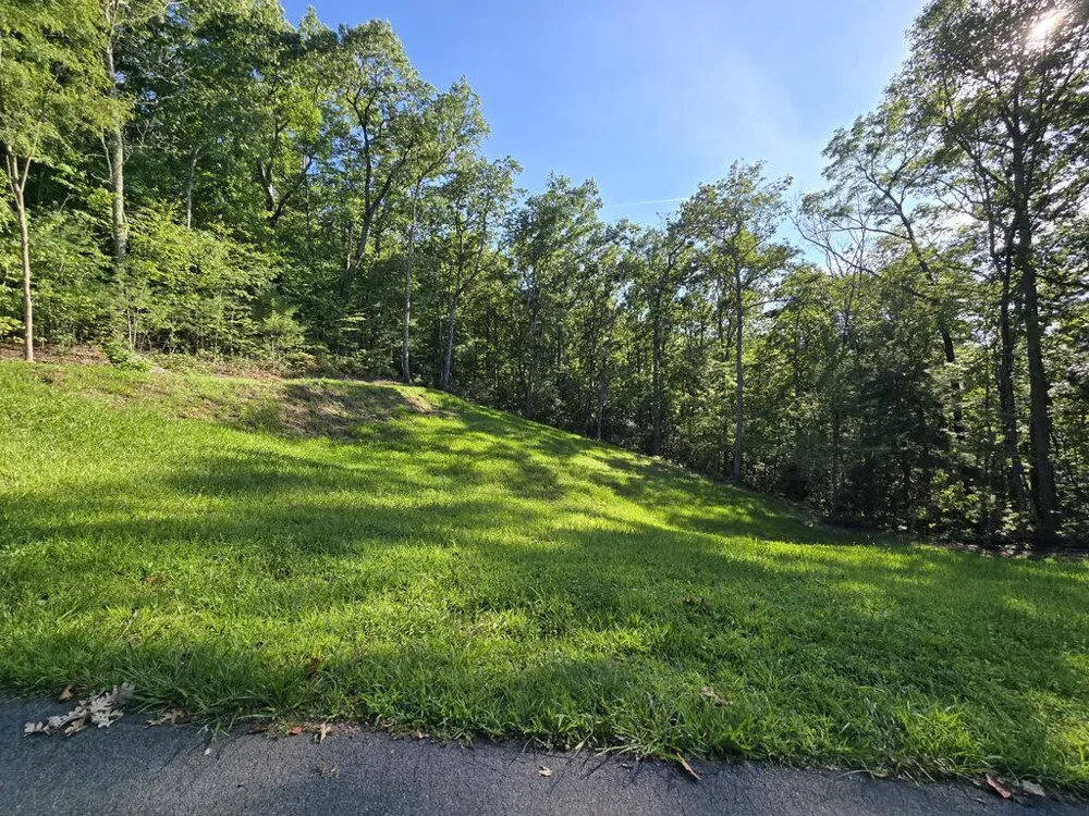 Lot 8 Wolfpen Gap Road Hiawassee, GA 30546