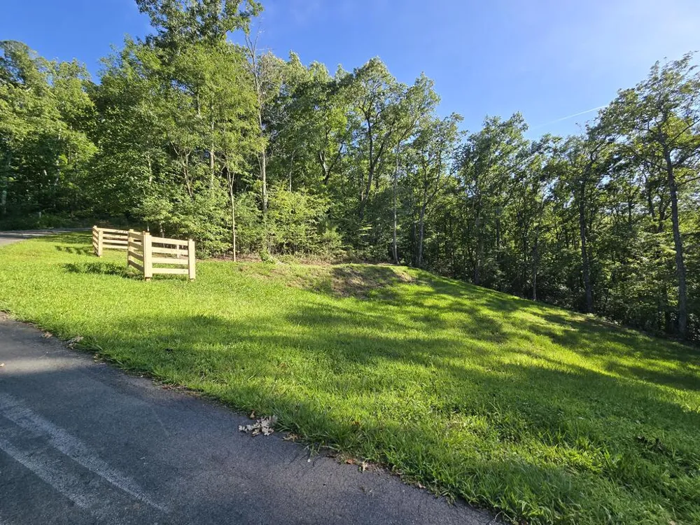 Lot 8 Wolfpen Gap Road Hiawassee, GA 30546